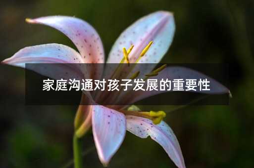 ��ͥ��ͨ�����Ӱl(f��)չ����Ҫ��