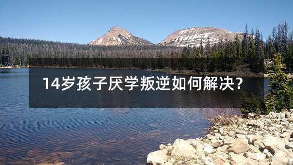 14�q���Ӆ��W������ν�Q��