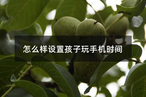 ��ô���O�ú������֙C�r�g