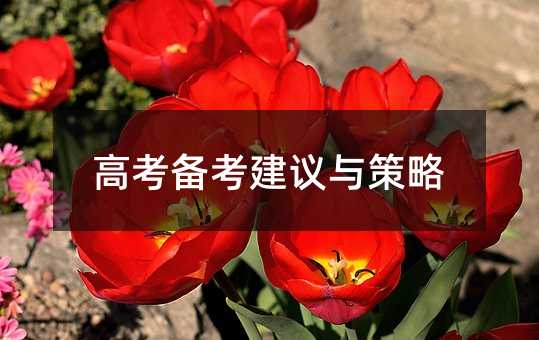 高考備考建議與策略