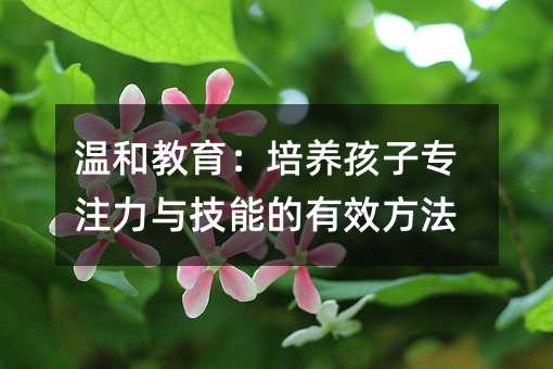 �غͽ��������B���ӌ�ע���c���ܵ���Ч����