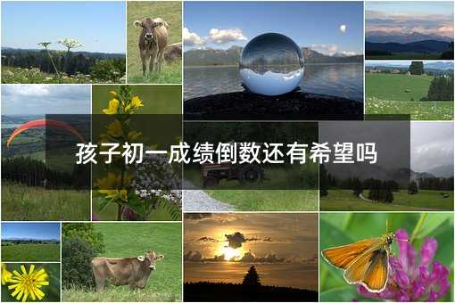 ���ӳ�һ�ɿ�����߀��ϣ����