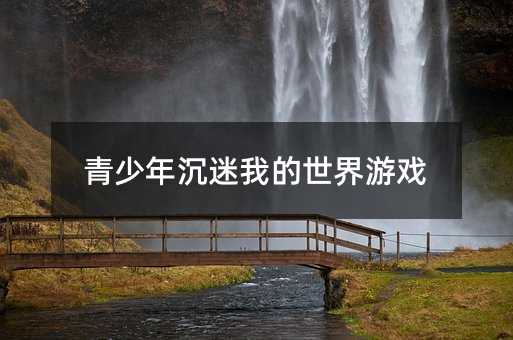 青少年沉迷我的世界游戲