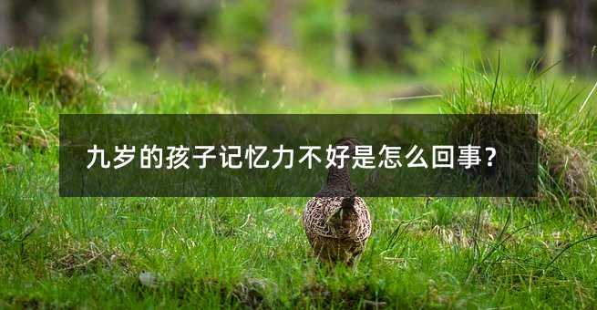 �Śq�ĺ���ӛ������������ô���£�