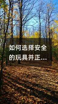 ����x��ȫ����߲����_��������ʹ��