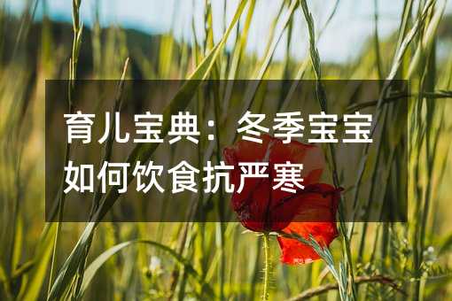 育兒寶典:冬季寶寶如何飲食抗嚴寒