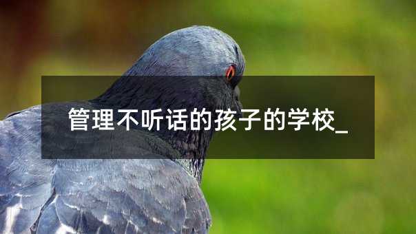 ������ Ԓ�ĺ��ӵČWУ_