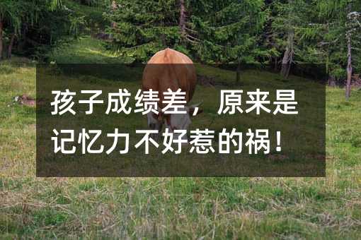 ���ӳɿ��ԭ����ӛ���������ǵĵ���