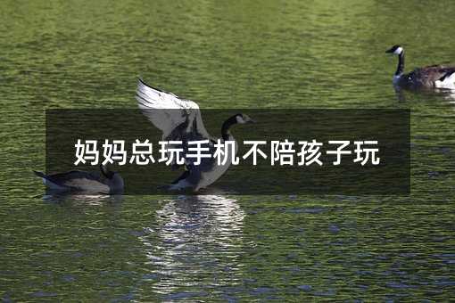 ���������֙C���㺢����