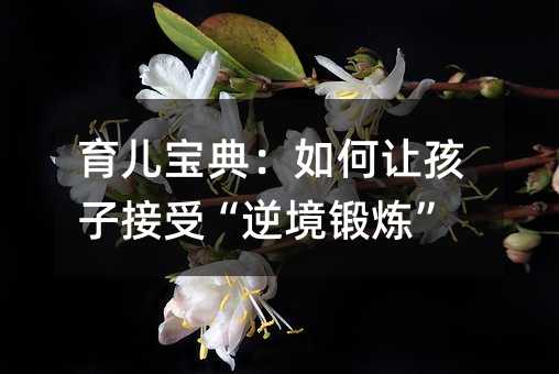 �������䣺���׌���ӽ��ܡ��澳呟���