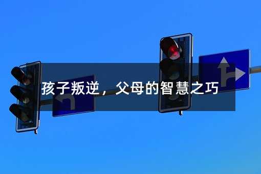 孩子叛逆,父母的智慧之巧