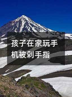 �����ڼ����֙C������ָ