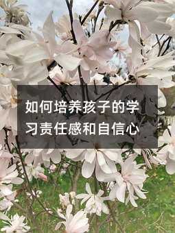 ������B���ӵČW��؟�θк�������