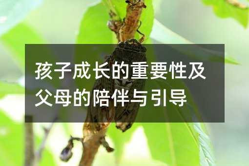 ���ӳ��L����Ҫ�Լ���ĸ������c����