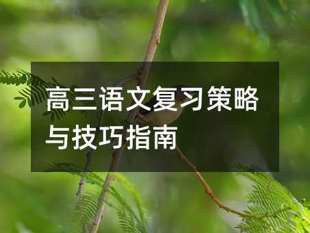 高三語文復習策略與技巧指南