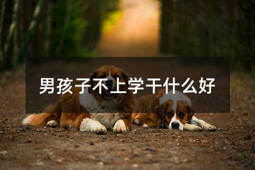 �к��Ӳ��όW(xu��)��ʲô��