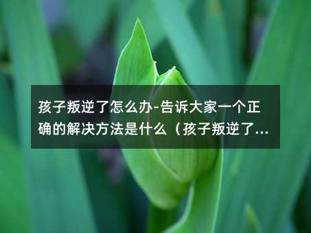 ������������ô�k-���V���һ��(g��)���_�Ľ�Q������ʲô��������������ô�k-���V���һ��(g��)���_�Ľ�Q������