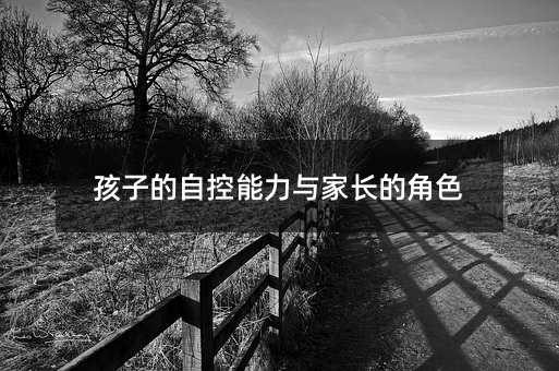 ���ӵ��Կ������c���L(zh��ng)�Ľ�ɫ