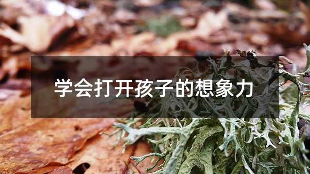 �W�����_���ӵ�������