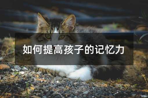 �����ߺ��ӵ�ӛ����