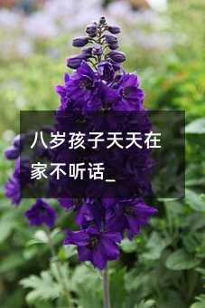 �˚q���������ڼҲ� Ԓ_