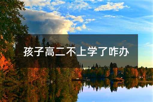 孩子高二不上學(xué)了咋辦