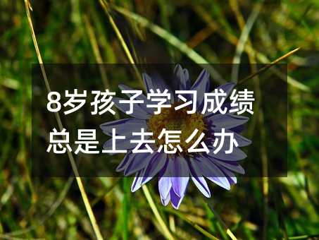 8�q���ӌW���ɿ�������ȥ��ô�k