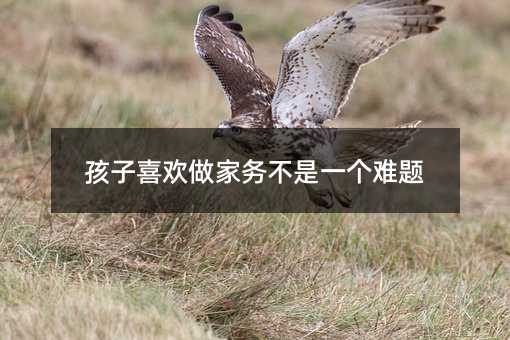 孩子喜歡做家務(wù)不是一個難題