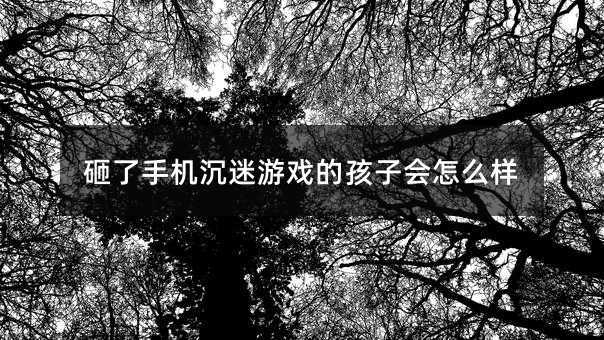 砸了手機沉迷游戲的孩子會怎么樣