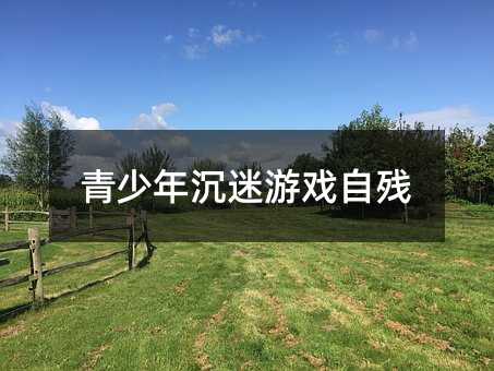 青少年沉迷游戲自殘