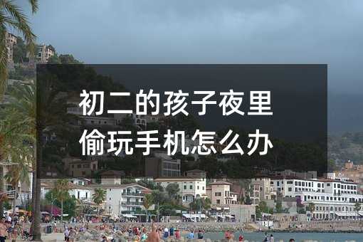 初二的孩子夜里偷玩手機怎么辦