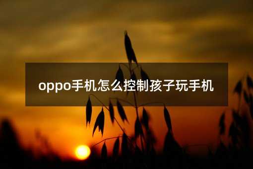 oppo�֙C��ô���ƺ������֙C
