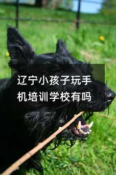 遼寧小孩子玩手機培訓學校有嗎