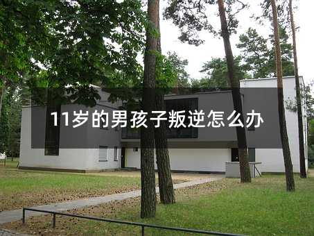 11�q���к���������ô�k