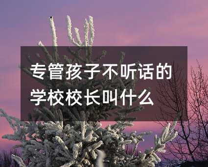 ���ܺ��Ӳ� Ԓ�ČWУУ�L��ʲô