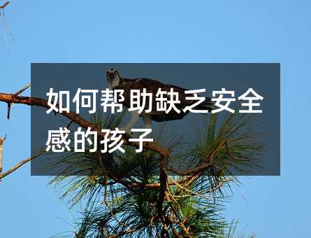 ��Ύ���ȱ����ȫ�еĺ���