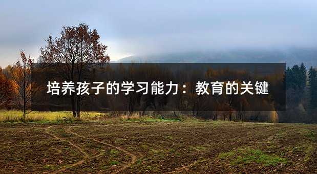 培養孩子的學習能力:教育的關鍵