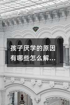 ���Ӆ��W��ԭ������Щ��ô��Q��