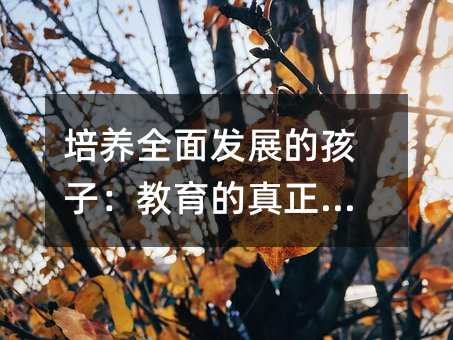 ���B(y��ng)ȫ��l(f��)չ�ĺ��ӣ�����������Ŀ��