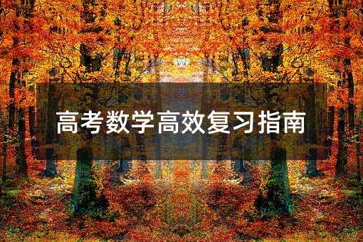 高考數學高效復習指南