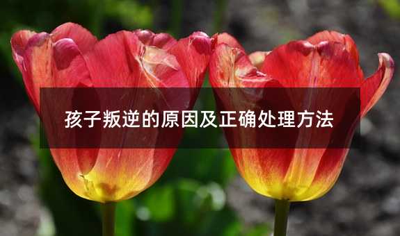 ���������ԭ�����_̎������