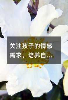 �Pע���ӵ�����������B�����ĺ�������