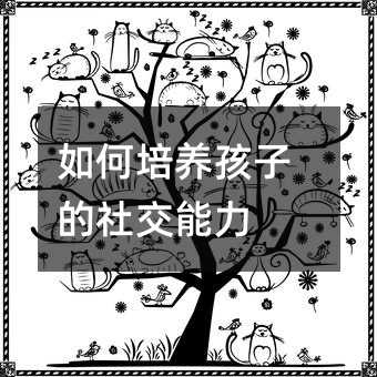 ������B���ӵ��罻����