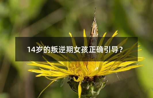 14�q��������Ů�����_������