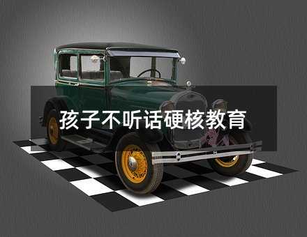 ���Ӳ� ԒӲ�˽���