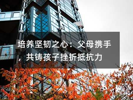 ���B���g֮�ģ���ĸ�y�֣����T���Ӵ��۵ֿ���