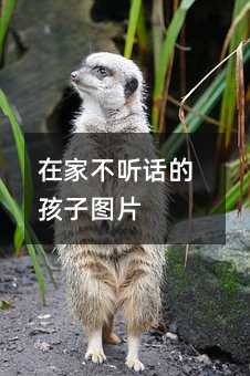 �ڼҲ� Ԓ�ĺ��ӈDƬ