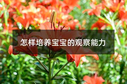 �������B(y��ng)�������^������