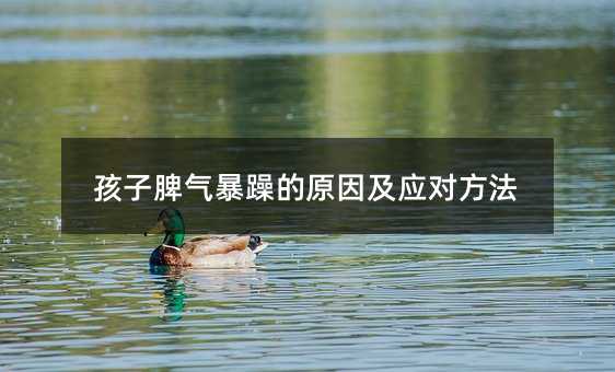 孩子脾氣暴躁的原因及應對方法