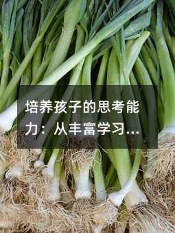 培養孩子的思考能力:從豐富學習環境到自主解決問題